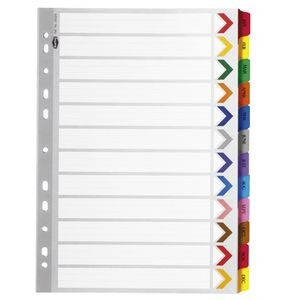 DIVIDER A4 JAN-DEC RAINBOW MYLAR TABBED #35029  (price excludes GST)