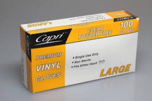 GLOVES VINYL PRE POWDERED LARGE BOX 100  (price excludes gst)